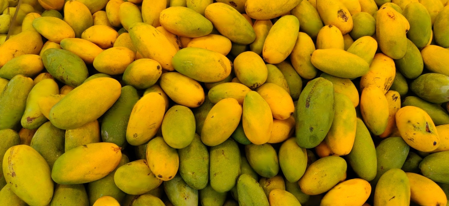 Dasheri Mango